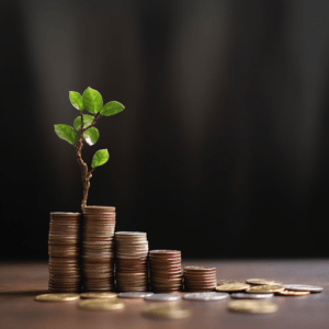 BGF Sustainable Energy Fund