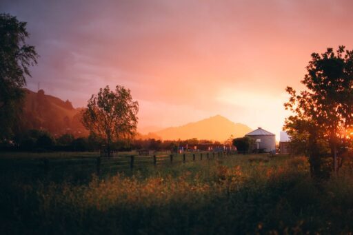 How to buy property in New Zealand