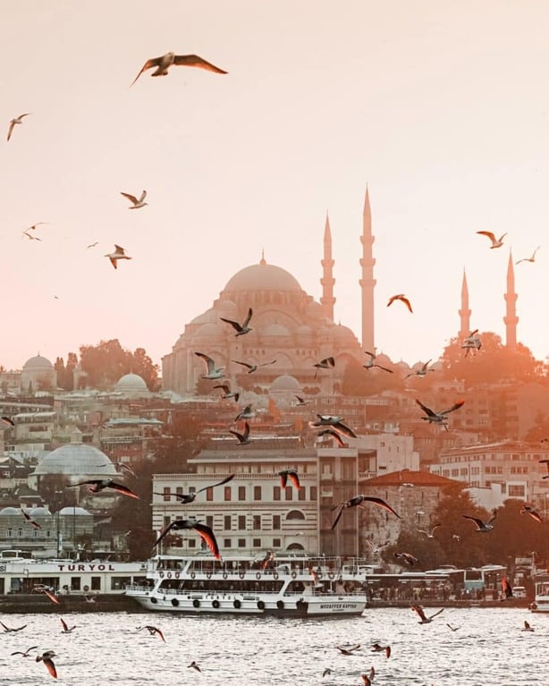 Getting a Turkey citizenship by investment offers a lot of benefits for expats