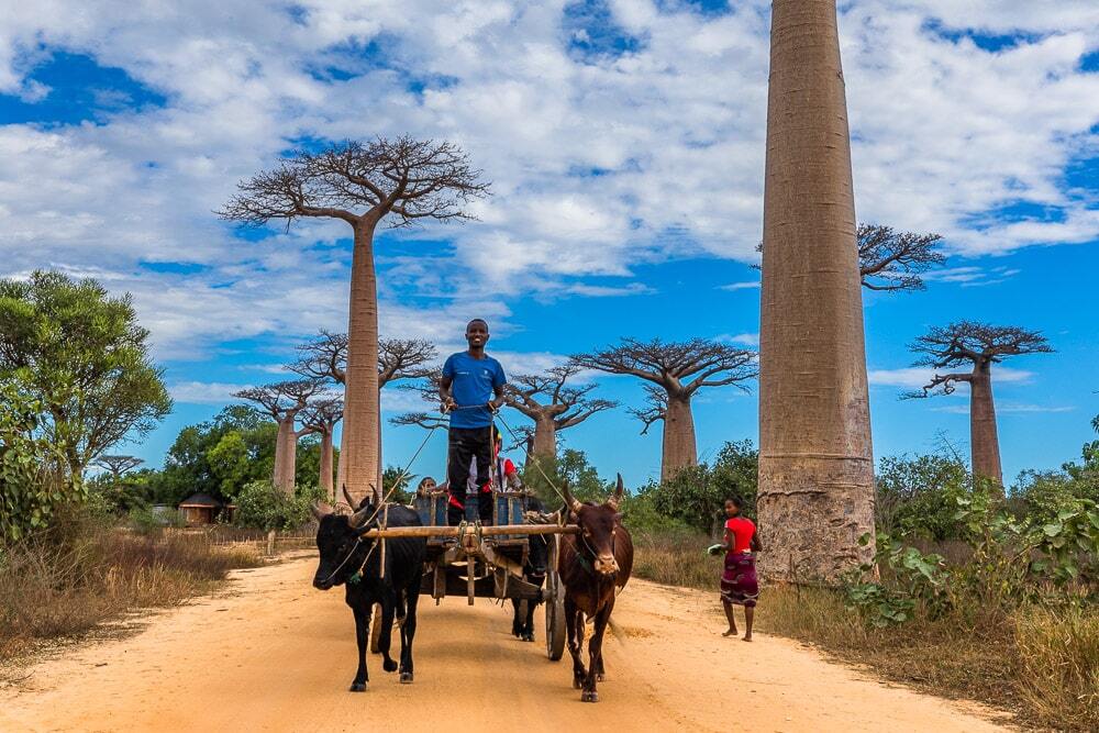 Expat financial advisor in Madagascar