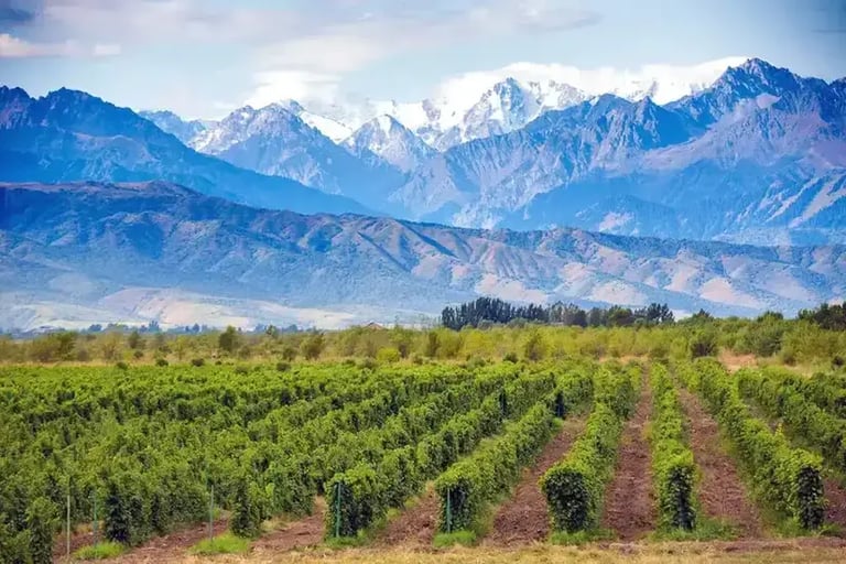 Where to retire in Argentina: Mendoza City