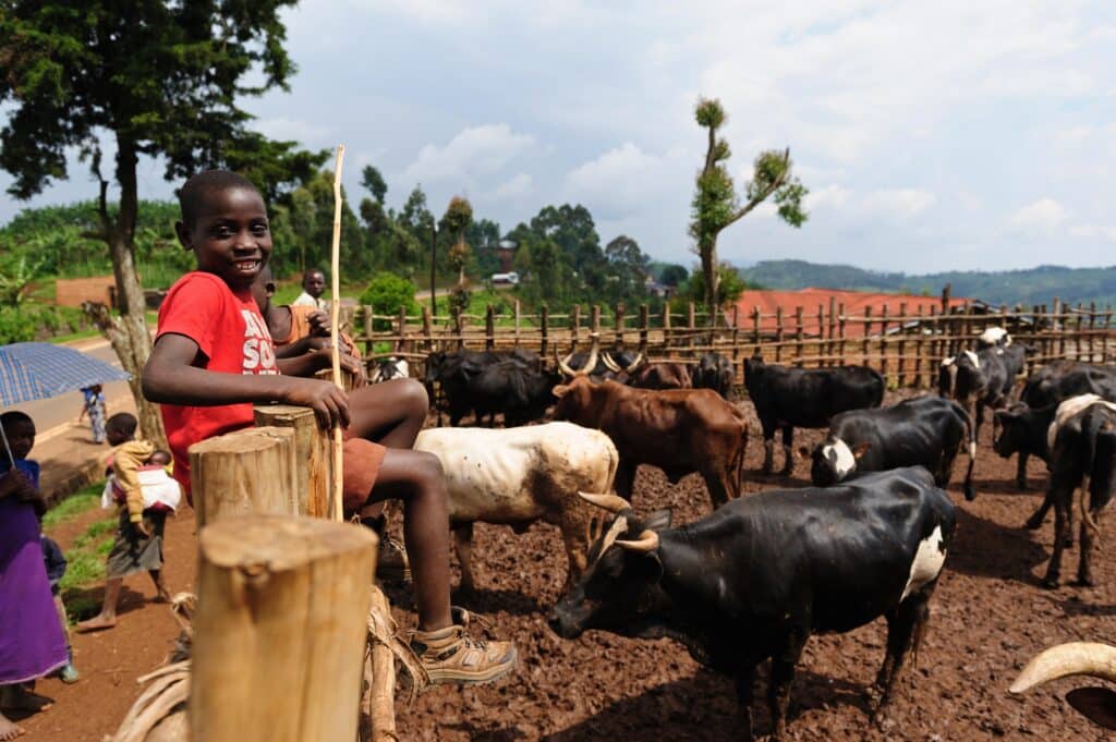 Expat financial advisor in Rwanda