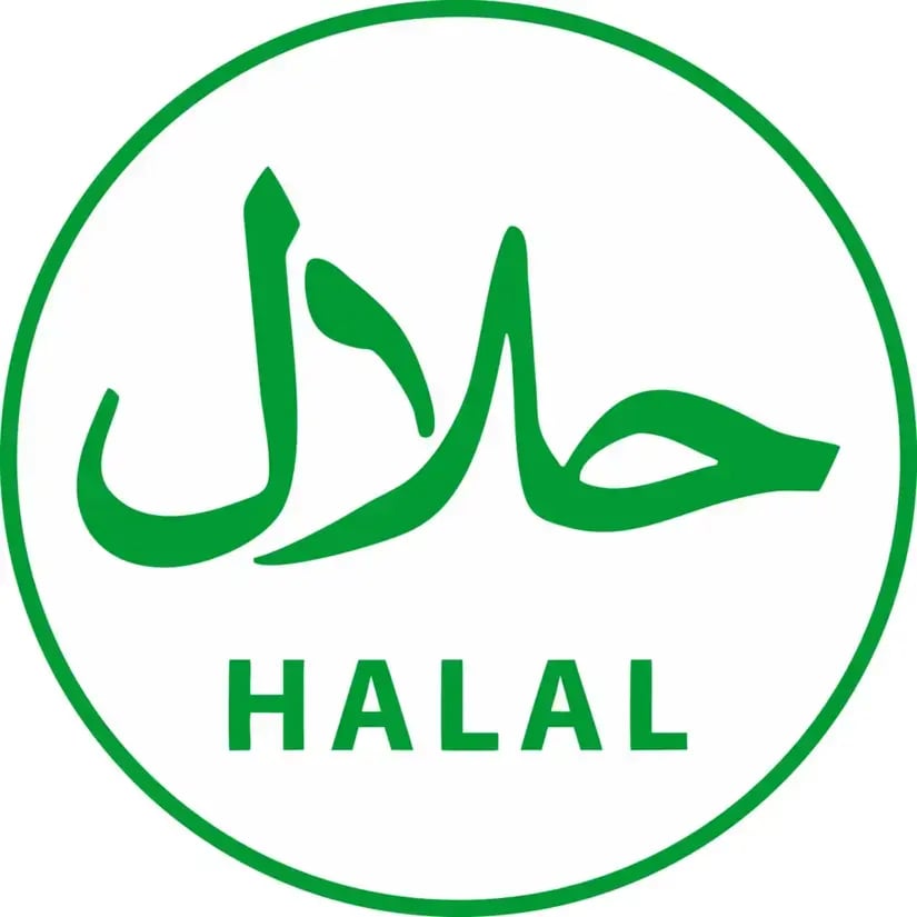 Best Halal ETFs To Invest In
