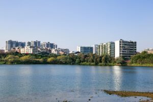 Move Assets Out Of the US - estate properties