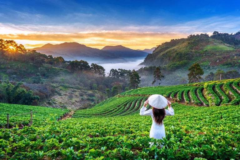 best places to retire in asia chiang mai