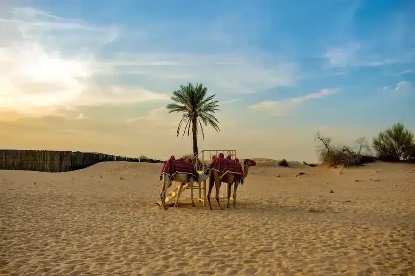 Setting up a foundation in Qatar  