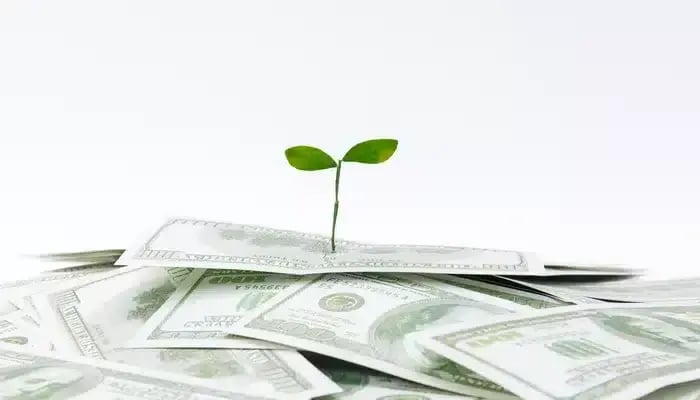 Neutral Capital Finance Green Bond Series 2