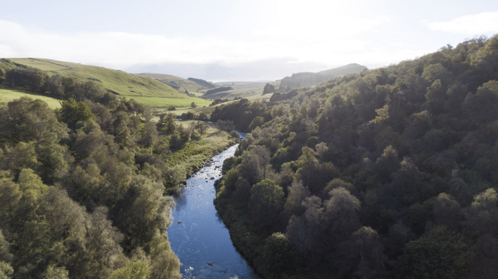 Highlands Rewilding beldorney