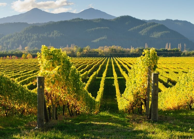 best places to retire in New zealand marlborough