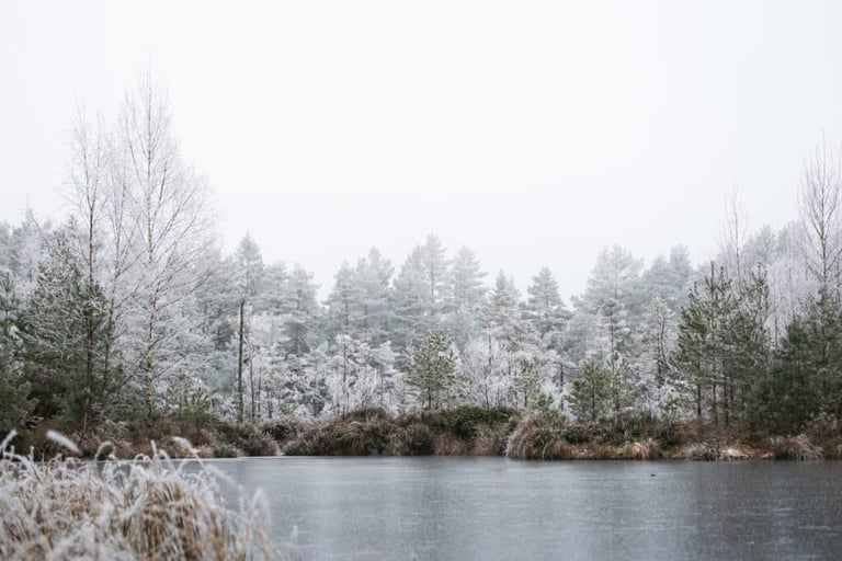 Most Expensive Cities in the World to Live In oslo