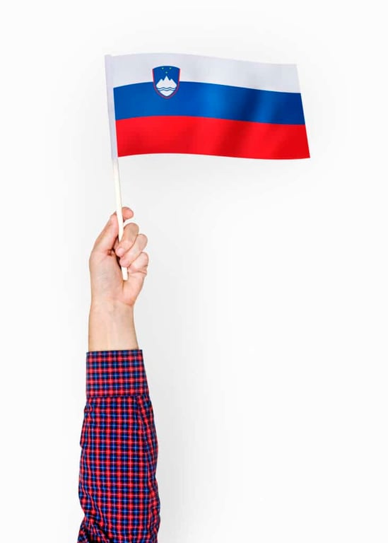 retiring in slovenia flag