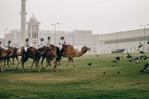 retire in Qatar