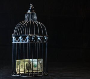 Setting up and managing a trust fund involves legal, administrative, and sometimes regulatory costs. Professional trustee services, annual filings, and compliance with international standards (e.g., CRS, FATCA) add ongoing expense.