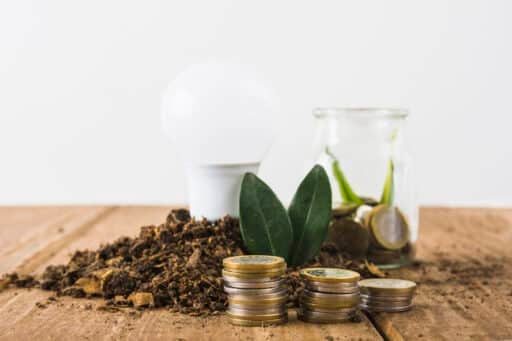 Brooks Macdonald esg investment
