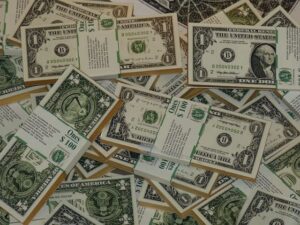 the Financial Advisor Fees depend on the services required