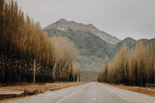 can you drive when living in argentina