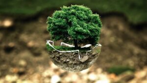 Triodos Bank is a European bank with a reputation for its expertise in sustainable finance.