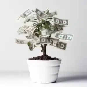 offshore investing