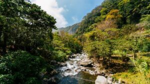 Boquete's natural beauty, cool climate, and welcoming expat community make it a popular choice among retirees. The town offers a range of amenities, including restaurants, cafes, and a well-stocked grocery store.