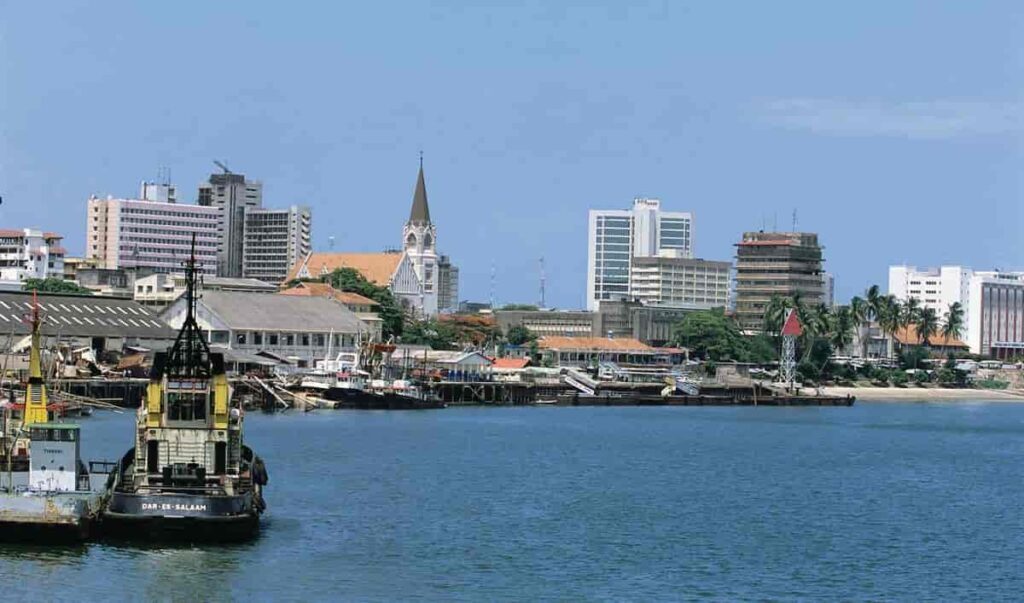 Expat financial advisor in Tanzania