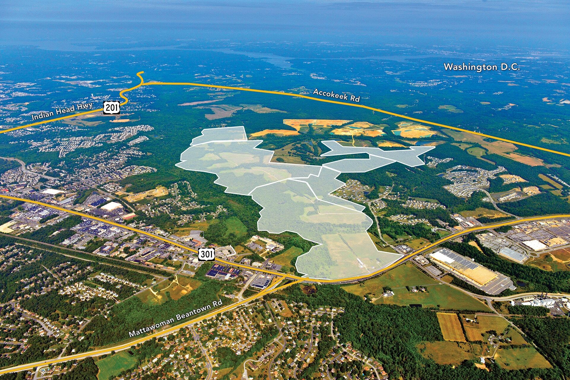 Walton Global