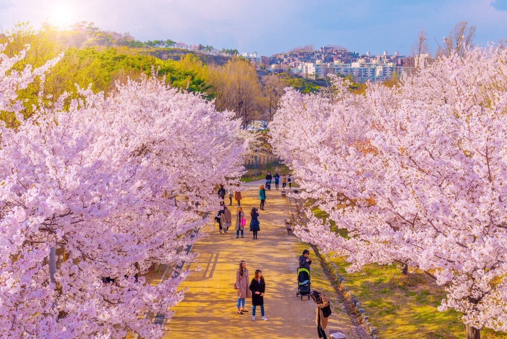 Retire in South Korea