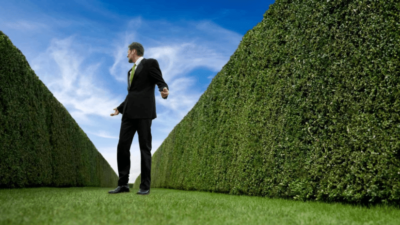 Hedging