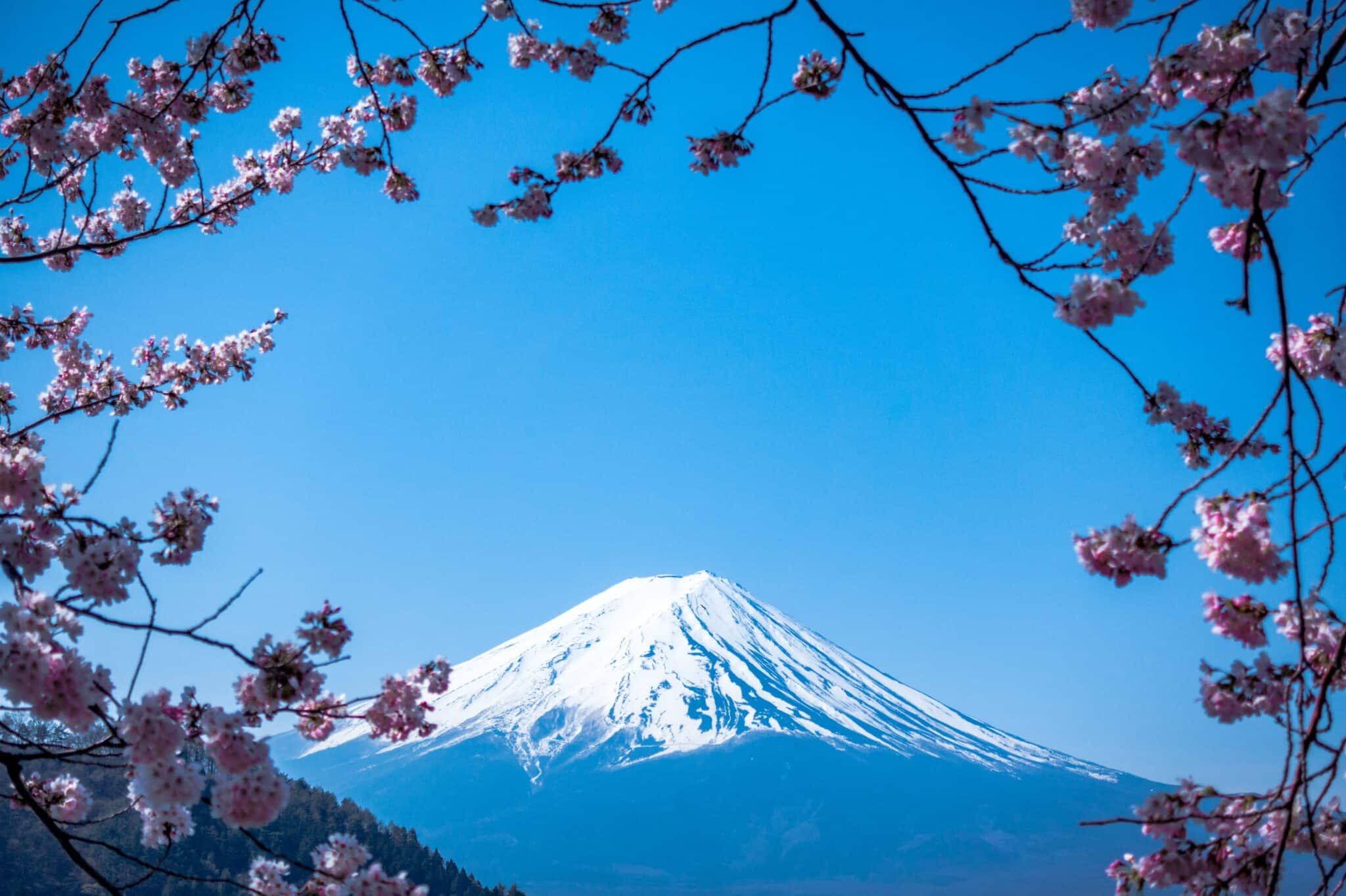 How do start paying taxes in Japan?