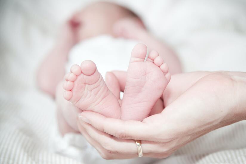 maternity insurance for expats