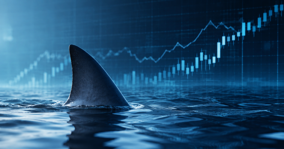SHARK FIN NOTE