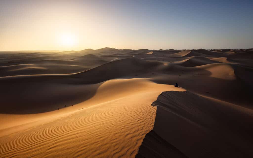 Desert Solitude