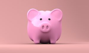 pink piggy savings bank