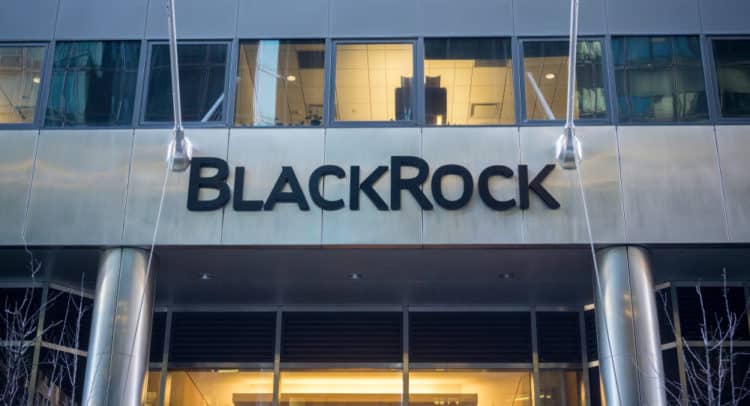 Blackrock New Energy Review 