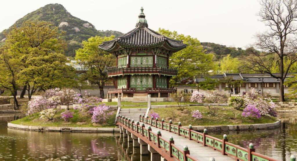 Becoming An Expat In 2022 In Korea