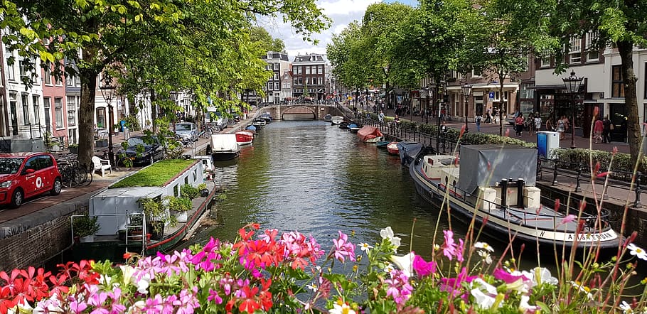 amsterdam netherlands flowers holland channel dutch