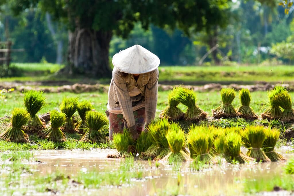 Why Buying Property in Laos is a Bad Idea