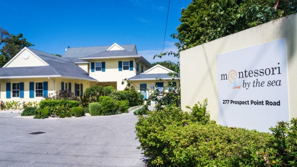 Best International Schools in the Cayman Islands