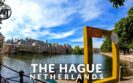 Finding A Job In The Hague
