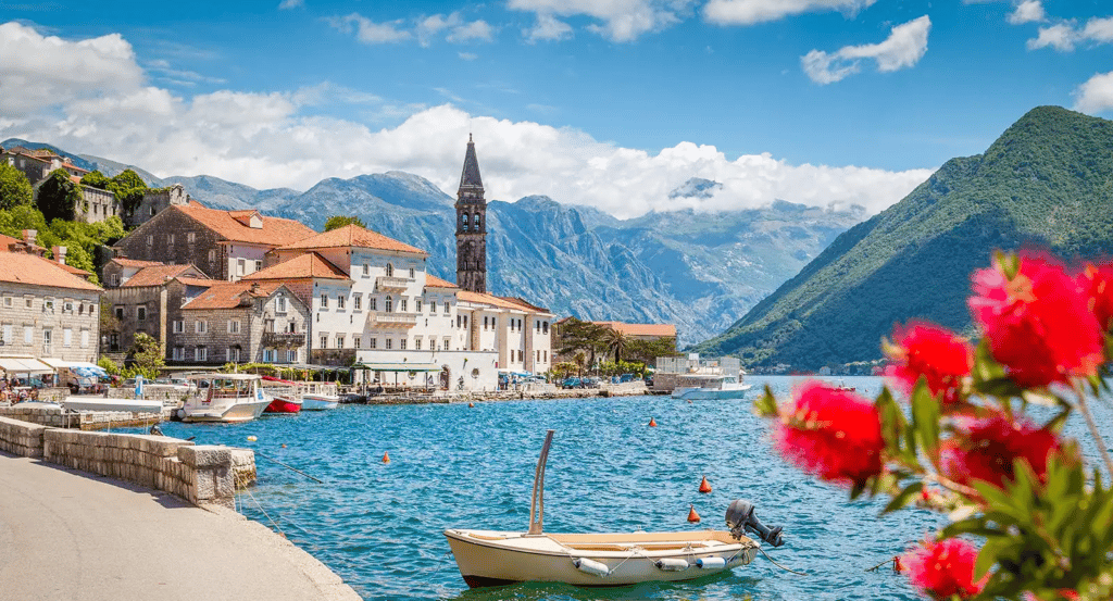 91a7ccd6 7415 412a be74 0c8e308d6606