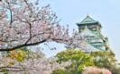 What Are The Top 5 Places For Expats To Retire In JapanWhat Are The Top 5 Places For Expats To Retire In Japan