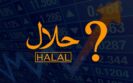 What is Halal Investing