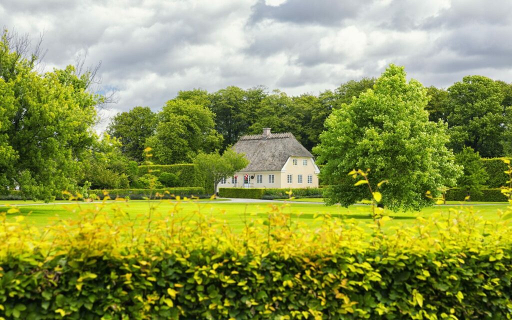 Danish Countryside scaled 1