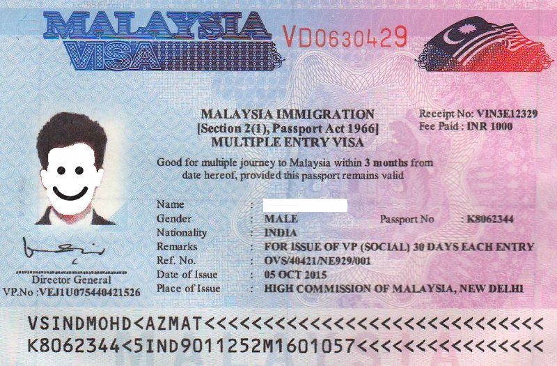 malaysia visit pass professional