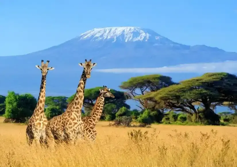 Top Mountains To Climb Around The World 2 Top Mountains To Climb Around The World