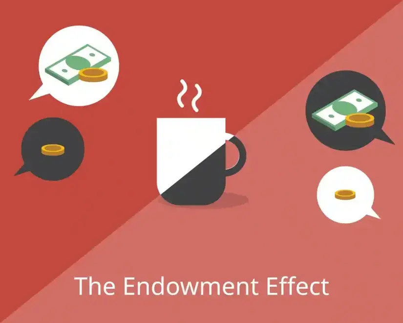 What Is The Endowment Effect In Investing