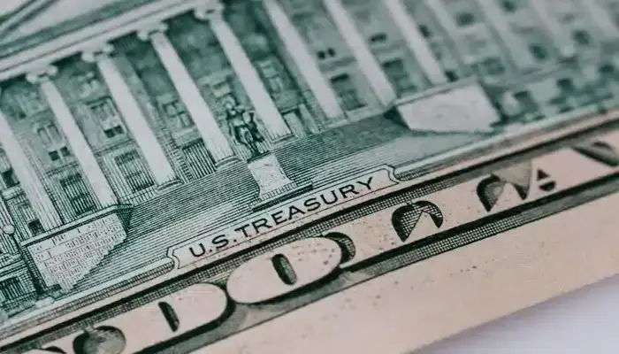 treasury STRIPS purchase