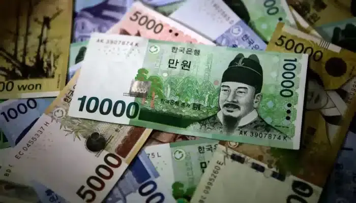 retire in south korea currency