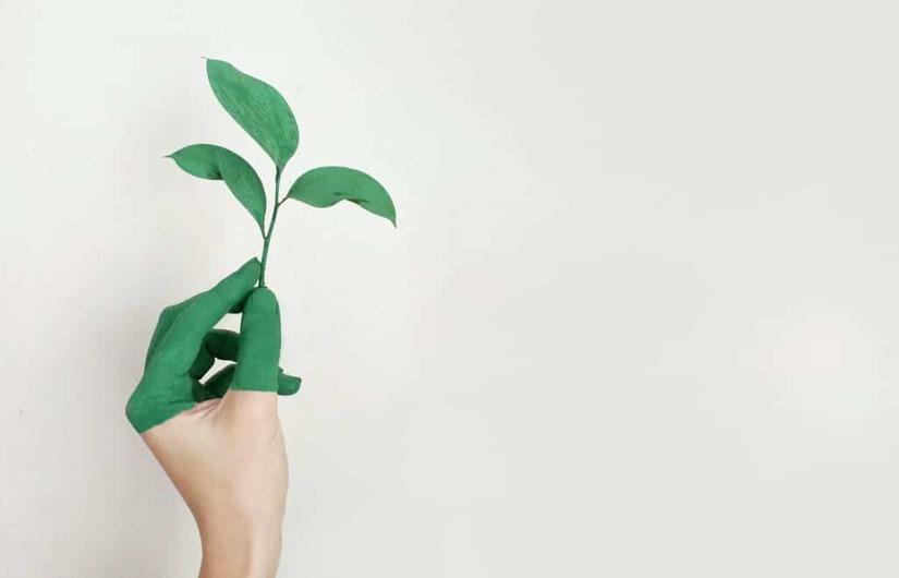 Should you switch to sustainable investing? All you need to know