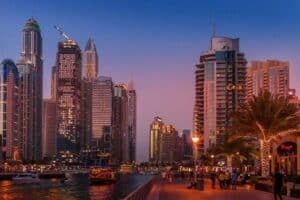 investment management platform in UAE