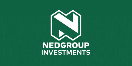 Nedgroup Investments logo